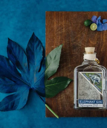 Navy Strength Gin von Elephant Gin