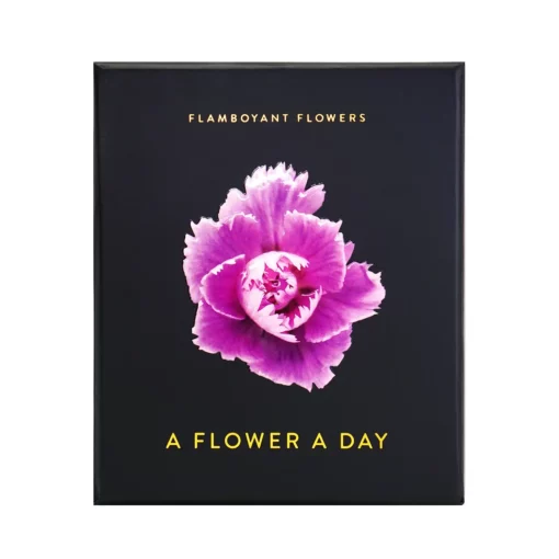 Blumen-Tischkalender Flamboyant Flowers
